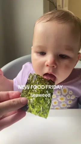 she had a lot of fun with this texture, not sure about the taste 😂💚✨ #newfoodfriday #newfood #babytastetest #tastetesting #babytastingthings #blw #blwideas #blwsnack #blwsnackideas #babysnacks #seaweed #seaweedsnack #toddlersnacks #firsttimemom #MomsofTikTok #momtok #fyp #foryou 