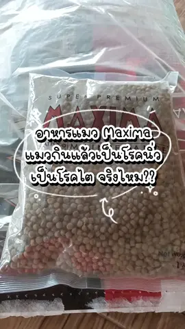 อาหารแมว Maxima แมวที่บ้านกินไม่เป็นอะไรเลย อาจจะเป็นเพราะสุขภาพของแมวแต่ละตัวมากกว่าน้าา #อาหารแมวไม่เค็ม #อาหารแมวแม็กซิม่า #อาหารแมว 