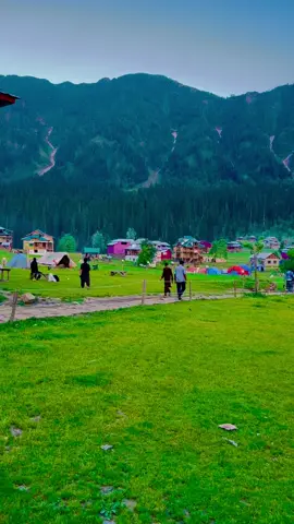 Arang Kel Kashmir 🌲 #arangkel #kashmir #mountains #kel #foryou #viral #trending 