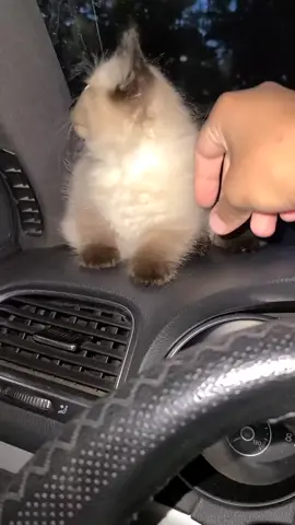 #باتنة #والمغرب #والجزير #والشرق_الاوسط #الجزير 