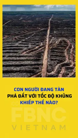 Con người đang tàn phá đất với tốc độ khủng khiếp thế nào #Fbncvietnam #tintuc #thiennhien #moitruong #connguoi