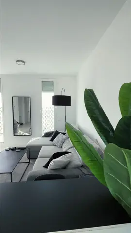This is what a 22 yo man living room look's like 🤝🏻✨ Welcome! #interior #design #interiordesign #Home #blackandwhiteinterior #minimal #minimalist #minimalinterior #livingroom #livingroomdecor #decor #decoration 