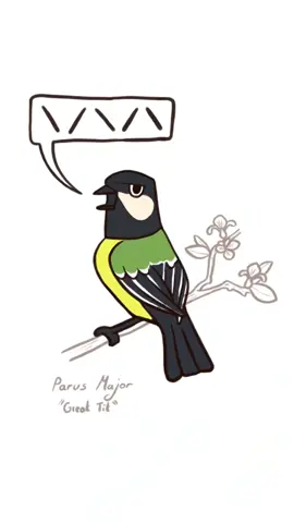 Did you know some birds have written notations to help remember their songs and calls? Some are err.. a little too chaotic. #rspb #birdsong #animation #Robin #greattit #ukbirds 