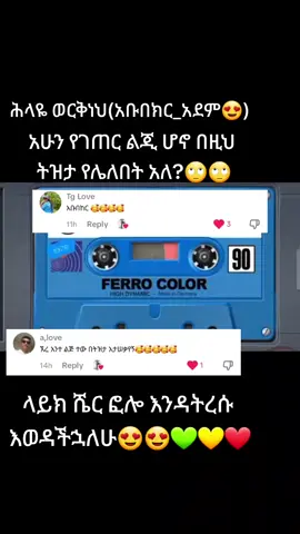 #ሕላዬ_ወርቅነህ#ፍቅር➻ብቻ🖇ፍቅር➻ብቻ❤🥀🔐 #ethiopianmusic🇪🇹🇪🇹🇪🇹 #vairal #fyp #funny #Duet #ፋኖመከታቺን💚💛❤💪💪✅ቤተአማራ💚💛❤✊💒❤🤝❤🕌 #አማራዬ💚💛❤አማራዬ💚💛❤️🐅ፋኖ❤️🐅የኔ #ethiopian_tik_tok #ራያ_ራዩማ🌽🌾🌽🌾 #ethiopianmusic 
