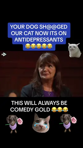 UPDATE NEXT VIDEO MAX WAS ACTUALLY MARRIED AT THE TIME OF THIS INCIDENT 😂😂😂 #scottishtiktok #scottishcomedy #judgerinder #tvshow #tv #fypシ #funnyvideos #foryou #funny #dog #cat #dogsoftiktok #catsoftiktok #pet #humour #viral #Scotland #uk #lmao #comedygold 
