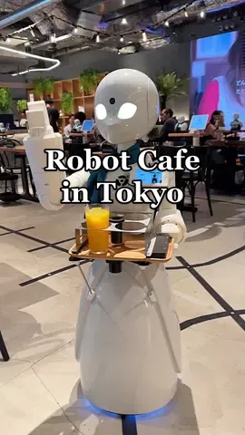 getting served by robot waiters was definitely one of the craziest things I experienced in Tokyo! A futuristic and wholesome concept, add this unique cafe to your Japan bucket list 🇯🇵 #tokyocafe #robotcafetokyo #tokyothingstodo #thingstodointokyo #tokyoitinerary #tokyorestaurant #tokyotrip 