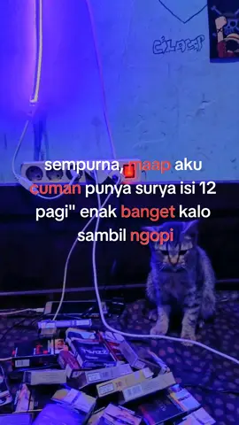 gatau pngn tempe goreng