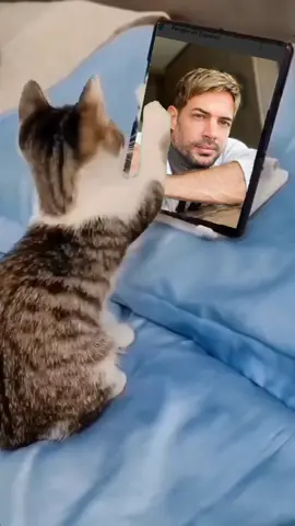 #CapCut 