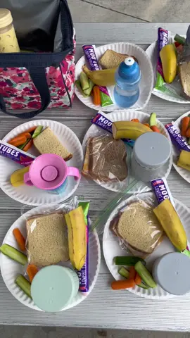 #DaycareLunch picnic style! 🧺  (Previous video is packing lunches!)  #picniclunch #daycareprovider #daycare #childcareprovider #kidslunch #Summer #daycaresummer #inhomedaycare #daycarechronicles101 #fyp