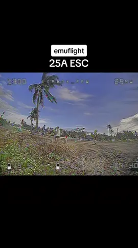 Part jadul 4s 25A esc