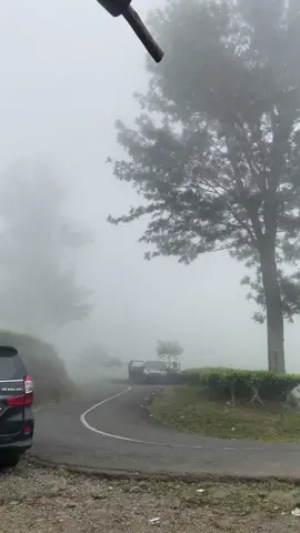 Jeme pagaralam pasti kuan di mane ini  #pagaralam #gunungdempo #vibesad #vibesmusicaj #pagihari 