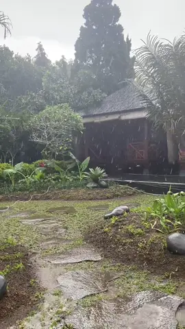 Kabut mulai turun, hujan mulai datang 🪴 #CapCut #TikTokImpact #plants #villacanggu #gardener #perawatantaman #gardenmaintenance #tukangkebunbali #landscapedesign #landscapearchitecture #tropicalgarden #zengarden #garden #villaberawa #balilandscape #balilandscapearchitect #tukangkebun 