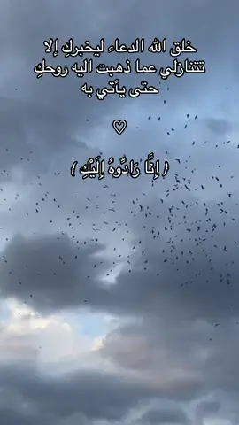 ان ننال مابيكنا لاجله يارب❤️‍🩹❤️‍🩹 #يارب_شعور_هذهِ_الآية #فأستجبنا_له❤️ #سأظل_طول_العمر_بابك_أقرعُ_ #ادعولي_يكون_من_نصيبي🤲 #يارب_اجعله_من_نصيبي #عَ #يارب_اجعلني_و_ايه_من_المنتصرين_في_الحب #ربنا_انك_جامع_الناس_ليوم_لاريب_فيه #فاجمعني_به #يارب_قل_لامنياتي_كوني_لتكون #إنما_أمرهُ_إذا_أراد_شيئاً_ان_يقول_له #ادعولي_دعوه_من_قلبكم #يارب_اجعله_من_نصيبي #يارب_دعوتك_فأستجب_لي_دعائي 