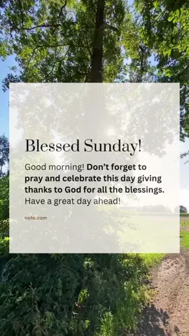 Blesse Sunday to all! #goodmorning #blessedsunday #dailyreminder #lifereminder #lifequotes #beablessing #pray #godslove #blessed #trusttheprocess #padayon #wordsofwisdom #wordsofaffirmation #keeppraying #talktogod #healing #MentalHealth #focusonyourgoals #faith #hope #innerpeace #fyp #fypage #foryou #foryoupage 