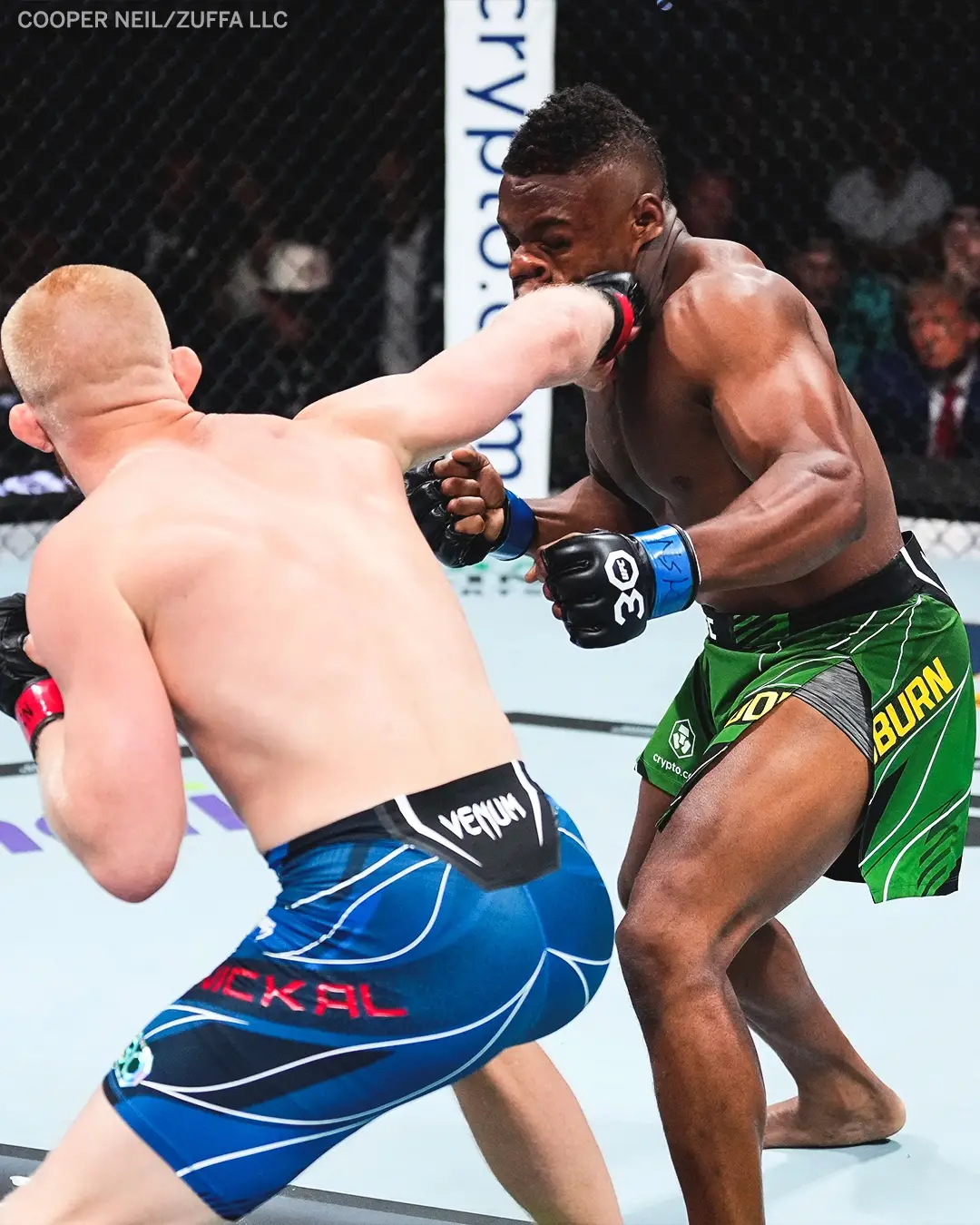 Bo Nickal put on a #show 👊 #UFC290 #UFC #knockout #photo 