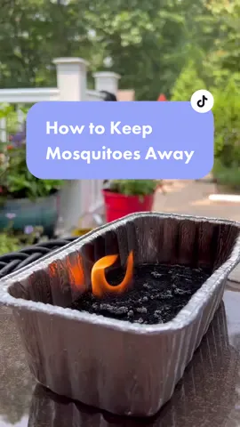 Did you know heated coffee grounds help to repel mosquitoes? 🦟🔥 #mosquitoes #coffeegrounds #hacks #mosquitohack 