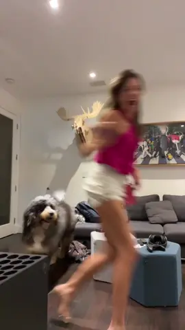 I found the dog at the pregame and ive never been happier  #girlytiktokfeed #justgirythingshehe #girlytiktoker #girlsrelate 