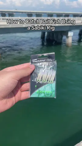 How to Catch Baitfish 🐟 Using a Sabiki Rig 🎣 #sabikirig #skywayfishing #skywaypier #fishingtips #pinfish #saltwaterfishing #pierfishing 