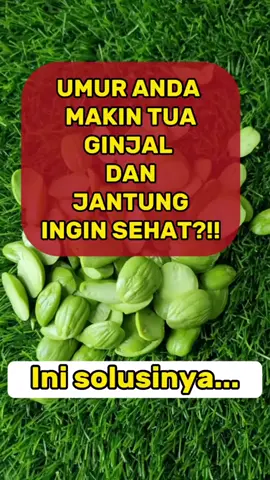 Manfaat pete #obatherbal #pette #obatherbal #fypシ゚viral 