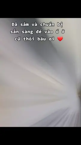 34w sắm dần để ở cử thôi nào các mẹ ơi ❤#mevabe #mebau #meovang2023 #kenhmebau #xuhuongtiktok #trending 