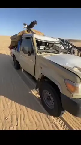 #الزنتان_تااغرمين_الوااشين_🔥🦅 #زنتان_منبع_رجال♥✌ #سبها_ليبيا_الجنوب_الليبي_المنشية #غدامس_الحدود_اليبيه_الجزائيريه #بنغازي_ليبيا🇱🇾 