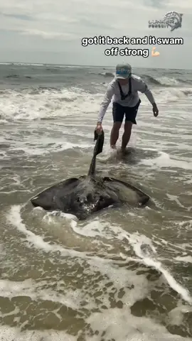 Fighting Monster Fish Off NY Beaches?!? @Beyond Braid @Trey Jones @fishingwithmuchacho #thefishermeng #fishing #fishingtiktok #fishingtiktoks🎣 #fishtoking #nyfishing #sharkfishing #nysharkfishing #nysharking #nyfish #sharks #lbsf #bigshark #jonesbeach #robertmoses #hugefish #beyondbraid #beyondbraid8x 