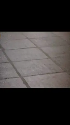 Bố xin lỗi, Bố già rồi, Tay Bố run, nó không theo ý của Bố ...Nghe mà chạnh lòng 🥺. Ước gì, còn Bố để được chăm sóc tốt hơn cho Bố....#😭 #💔#thuongba