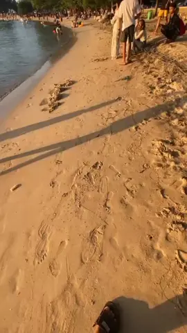 amit bolo#healing#jeparabumikartini#pantaiblebakjepara#xyzbca#fypage 