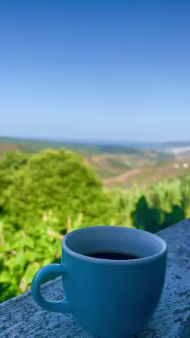 الطبيعة عشقي🇲🇦🌿🌱#الطبيعة_عشقي #الطبيعة_والجمال #جبالة #جبالة😍😍🇲🇦🇲🇦🇲🇦 #جبلية #جبليةوافتخر✌🏻🥰 #جبلية_شمالية #الطبيعة_المغربية #أجواء_جميلة #الهدوء_راحة_نفسية #أغاني_جبلية #المملكة_المغربية_الشريفة🇲🇦 #المغرب🇲🇦🇲🇦🇲🇦🇲🇦🇲🇦🇲🇦🇲🇦🇲🇦 #الملك_محمد_السادس_نصره_الله🇲🇦👑❤️ #تصويري📸َ 