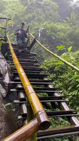 Terpeleset dari tangga di hutan estetik #fypシ゚viral #fypシ #fyp #lucu #lucu_ngakak #ngakakparah #ngakak #ngakakkocak #ketawa #ketawakocak 