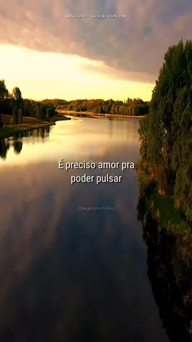 Que música perfeita 🎶 // #almirsater #tocandoemfrente #reflexão #goodvibes #legendasmusic 