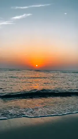 #القنفذة # البرك #حلي #القوز  يا غروب الشمس لله الكمال مدعً حتى لونك  غروب من هجير البعد لا برد الوصال مرحبً من كل فج وكل صوب لا ذبحك البرد يا ذاك الخيال