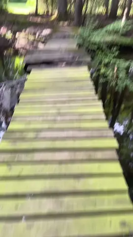 Exploring Creek P2 🪵🐟🎣