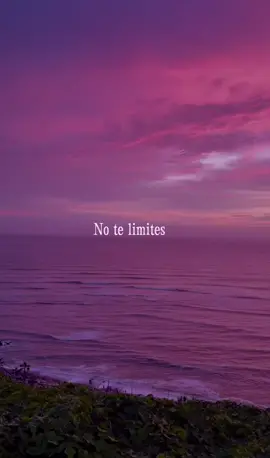 Sé lo que quieras, pero sé tu mism@ 🌻❤️ #fyp #fypシ #parati #notelimites #sunsetlover #emociones #greenscreen #frases #aesthetic #sortilegiodeamor 