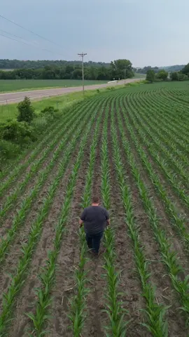 Shot on Mini 3 Pro. #REALLYGOODDRONESHOT @DJI Official 