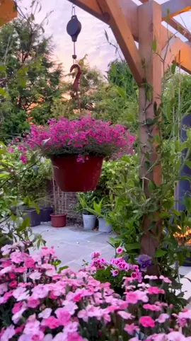 Người đuổi theo hạnh phúc, còn mình em lặng lẽ đợi anh giữa những chơi vơi #canhquansanvuon #nhavuon #nhavuondep #vuon #hiendai #Lifestyle #happy #garden #courtyard #relax #chill #tiktok #foryou #ductrilandscape #flamingo 