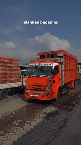 #storytruckindonesia #drivermudah #bismillahfyp #storytruck #fypシ #truckayam #fypシ゚viral #TikTokPromote #masukberanda 