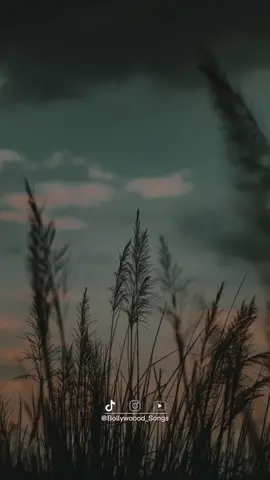 Hasi Ban Gaye #hasibangaye #bollywoood_songs #liriklagu 