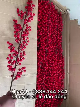 #đào_đông_đỏ #loại_1 cành dài 12 nhánh, quả to bóng đẹp, màu đỏ tươi đã có sẵn tại #xuhuong #hot #trend #trangtri #tet #decor #xuhuong #thinhhanh #trend #viral #foryou #muataitiktok #tiktokshop #xuhuongtiktok #xhtiktok #fyp #forryou #fylpシ #trending 