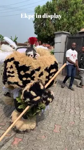 The energy🔥 #calabar #efik  #nigeriaculture #africa #crossriverstate  #efikculturalheritage #calabarpeople  #culture #ekpe #calabarcarnival 