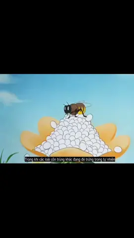 Th #nhữngbộphimhay #phimhoathinhvuinhon #phimhaymoingay #FunnyCartoonVideo #nhữngthươcphimhay 