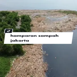 Senin, 10 Juli 2023 Terlihat hamparan sampah berada di salah satu bibir pantai mangrove di kawasan Muara Angke, Jakarta Utara. 📽 ig/ ilhamapriyanto #jktfyp ktfyp #indonesia  #jakarta  #jakartautara  #pantai  #laut  #sampah