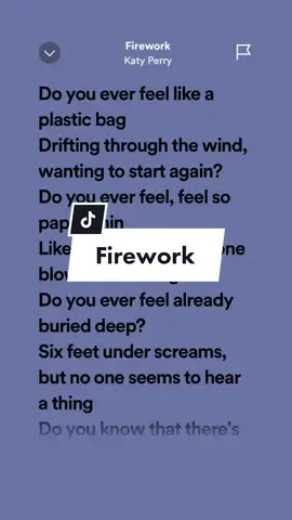 Firework🎆#katyperry #foryou #leohernandezlyrics_ #fypage #firework #fireworks #music #spotify #music #viral #chills #songlyrics #trendingsongs #4u #musiclyrics #fireworkkatyperry #fyp #fypシ #aesthetic #tiktok 