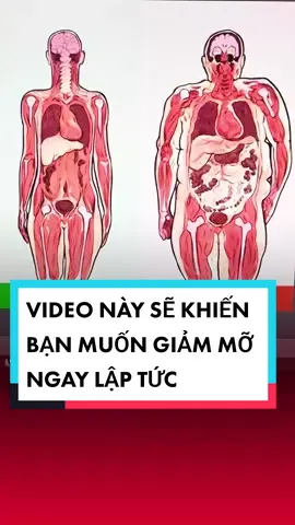 Video này sẽ khiến bạn muốn giảm mỡ ngay lập tức #LearnOnTikTok #lekimhung #dcgr #insulin #nhinangiandoan #intermittentfasting #giảmcân #giammo #songkhoe247 #xuhuong 