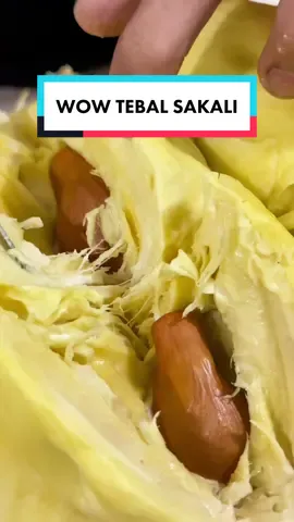 TEBAL SEKALI DAGING DURIAN MONTONG INI … 🤤🤤🤤 #fypシ #fyp 