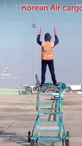 #aircraftmarshaller #planedirection #bigresponsibility #aircraft #planeeveryday #usa #uk #airportlife #viralvideo #fypシ 