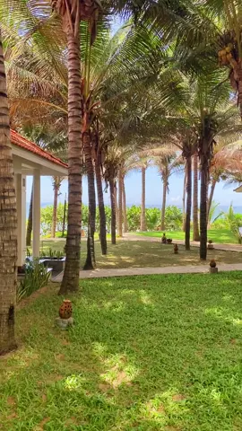 Review bằng mắt Saigon Emerald Resort cho nghĩ dưỡng #resort #saigonemeraldresort #nghiduong #muine #muinephanthiet #muinetrip 