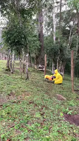 Essa Parte da Minha Vida Chama-se Felicidade @SPARK PAWS #sparkpaws