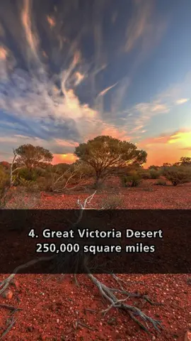 Top 5 Largest Hot Deserts in the World: A Comprehensive Overview #top5 #dessert #hot #trending #fypシ #viral #foryou #foryoupage