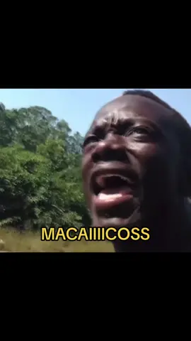 MASCAICOS🤣#foryoupage #foryoupage #humorbrasileiro #memestiktok #meme #engraçados #fyp #vídeosengraçados #podpah #defante #engraçado #reidokuduro #kuduro #kuduairo #diogodefante 